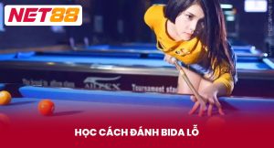 Học Cách Đánh Bida Lỗ Cơ Bản Đến Nâng Cao Đẩy Đủ Và Dễ Hiểu