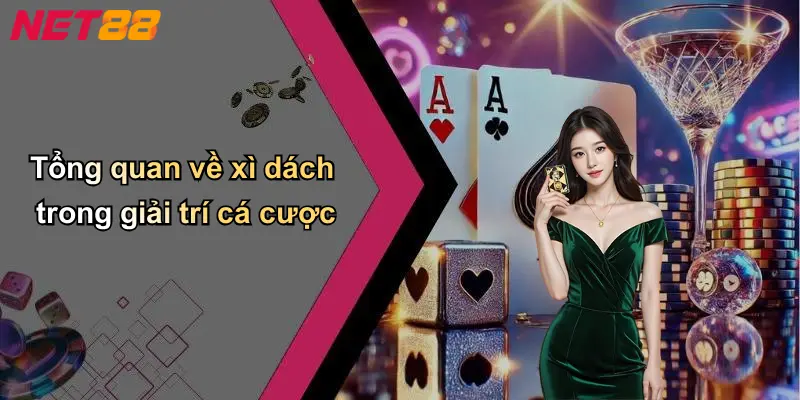 Tổng quan về xì dách trong giải trí cá cược