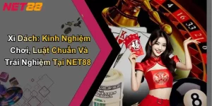 Xì Dách: Kinh Nghiệm Chơi, Luật Chuẩn Và Trải Nghiệm Tại NET88